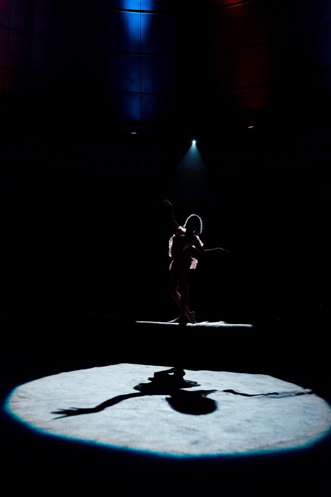 silhouette of flexible acrobat on rope in circus  - Photo, Image