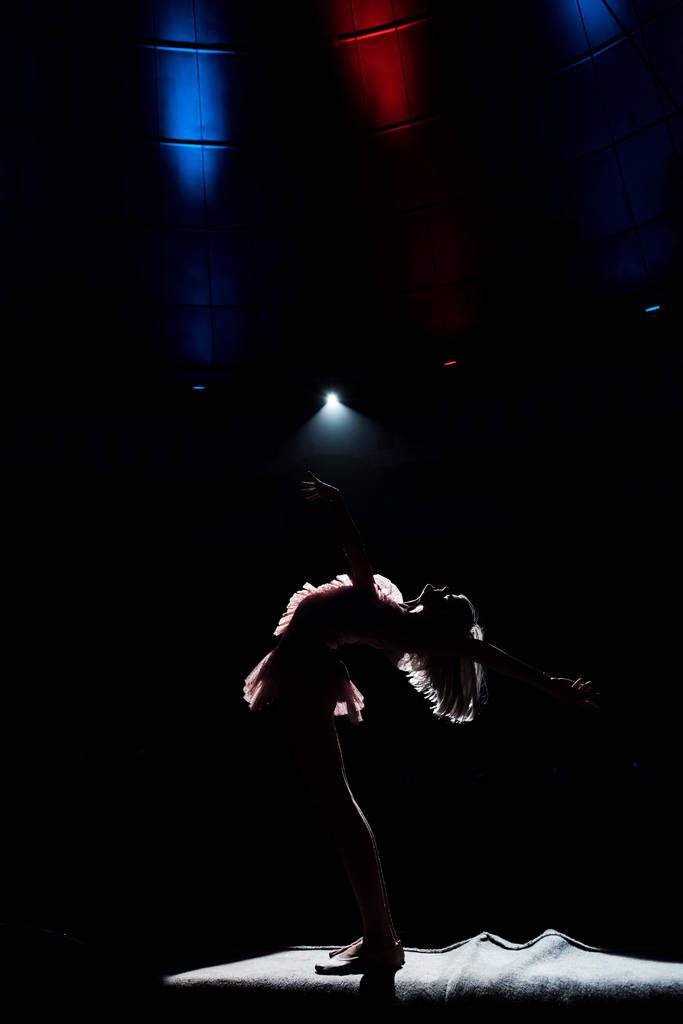 sziluett légi akrobata kötélen arénában cirkusz  - Fotó, kép