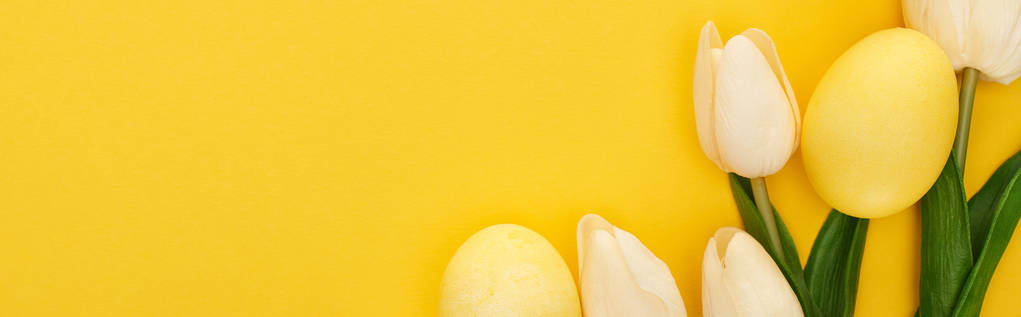 верхний вид тюльпанов и окрашенные пасхальные яйца на красочном желтом фоне, панорамный снимок
 - Фото, изображение