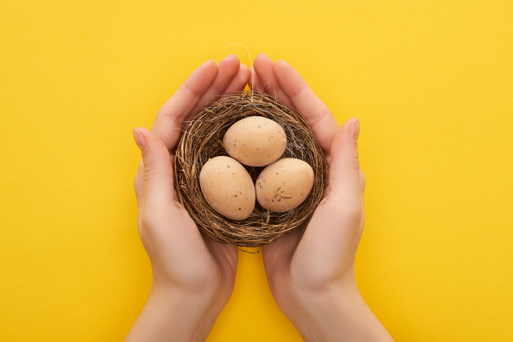 cropped view of woman holding chicken eggs in nest on colorful yellow background - Photo, Image