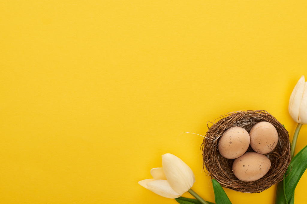 vrchní pohled na tulipány a kuřecí vejce v hnízdě na barevném žlutém pozadí - Fotografie, Obrázek