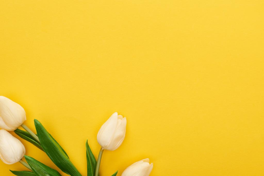 Vista superior de los tulipanes de primavera sobre fondo amarillo colorido - Foto, imagen