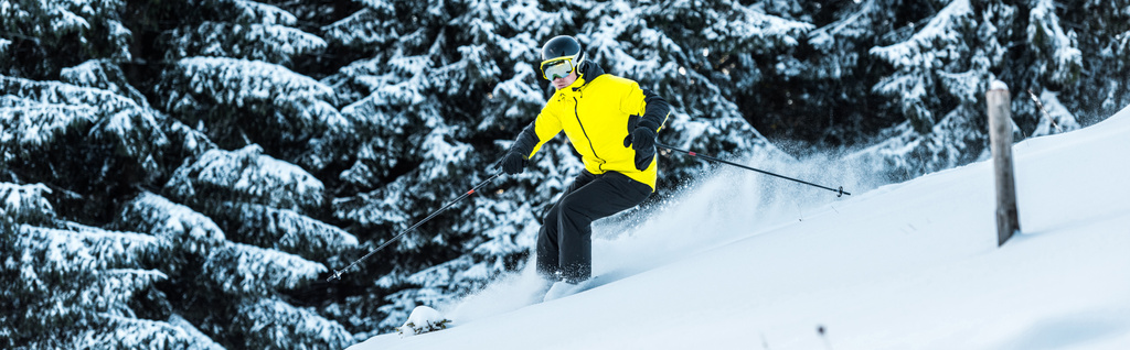 plano panorámico de esquiador con gafas y casco sosteniendo bastones de esquí mientras esquiaba cerca de abetos
 - Foto, Imagen