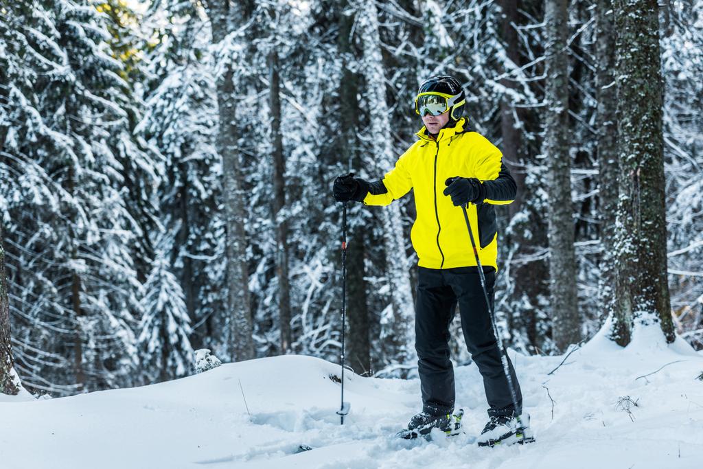 skier in helmet holding ski sticks while standing near pines in wintertime - Photo, Image