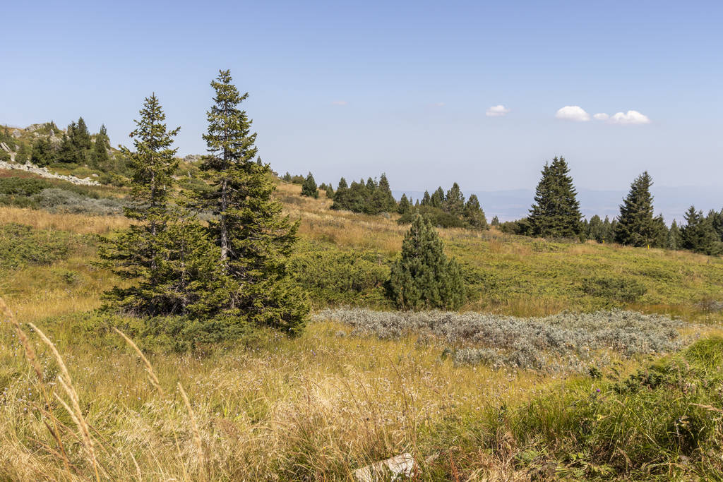Άποψη Φθινόπωρο του Βουνού Vitosha, Βουλγαρία - Φωτογραφία, εικόνα