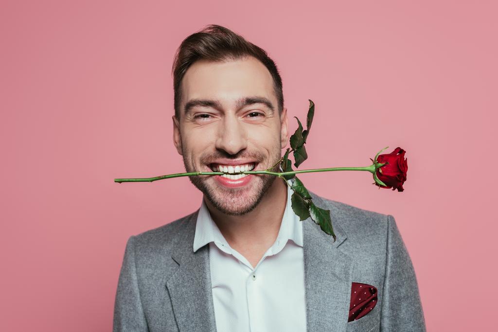 vidám öltönyös férfi vörös rózsát tart a fogai között, rózsaszínen elszigetelve - Fotó, kép