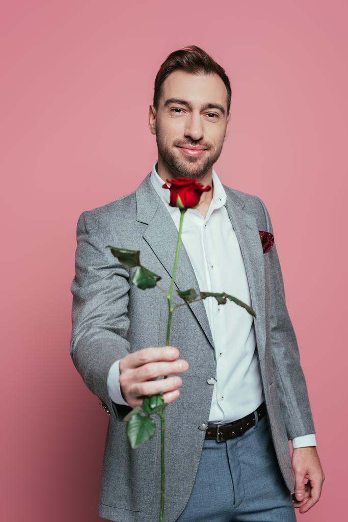 γενειοφόρος θετικός άνδρας με κοστούμι κρατώντας κόκκινο τριαντάφυλλο, απομονωμένος σε ροζ - Φωτογραφία, εικόνα