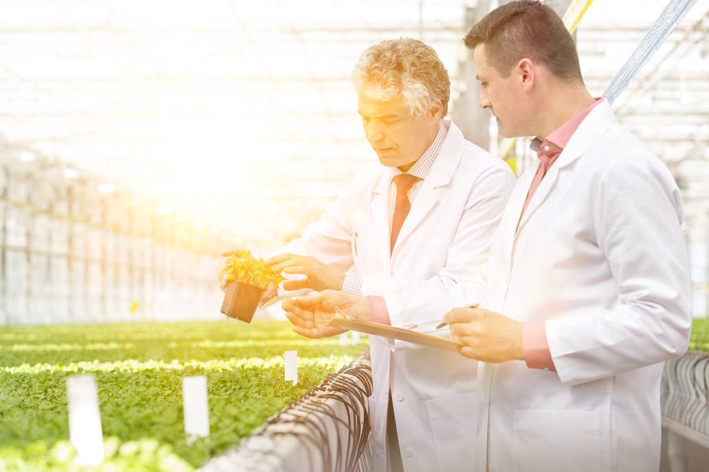 Pewny siebie dojrzały naukowiec badający zioła stojąc w szkółce roślin - Zdjęcie, obraz