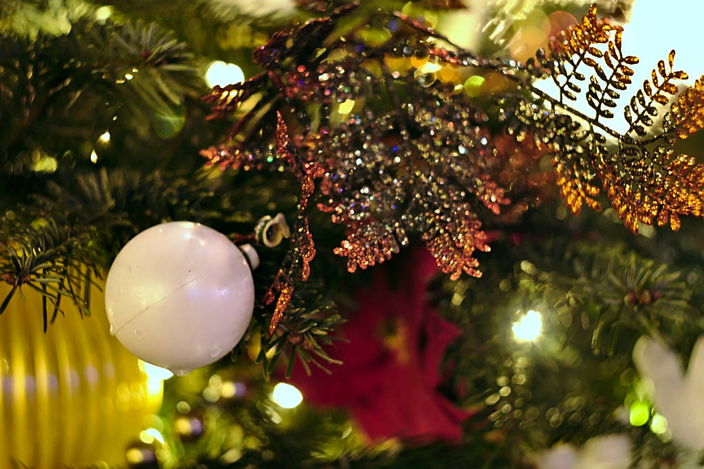 Decorações de Natal com bela iluminação à noite
 - Foto, Imagem