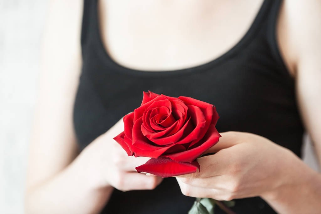 Руки женщины нежно держат большую красную розу на фоне черной рубашки
 - Фото, изображение