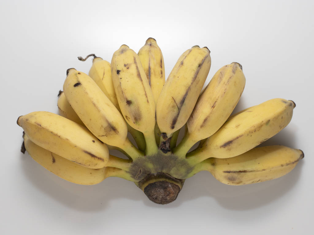 Pěstované banány izolované na bílém. - Fotografie, Obrázek