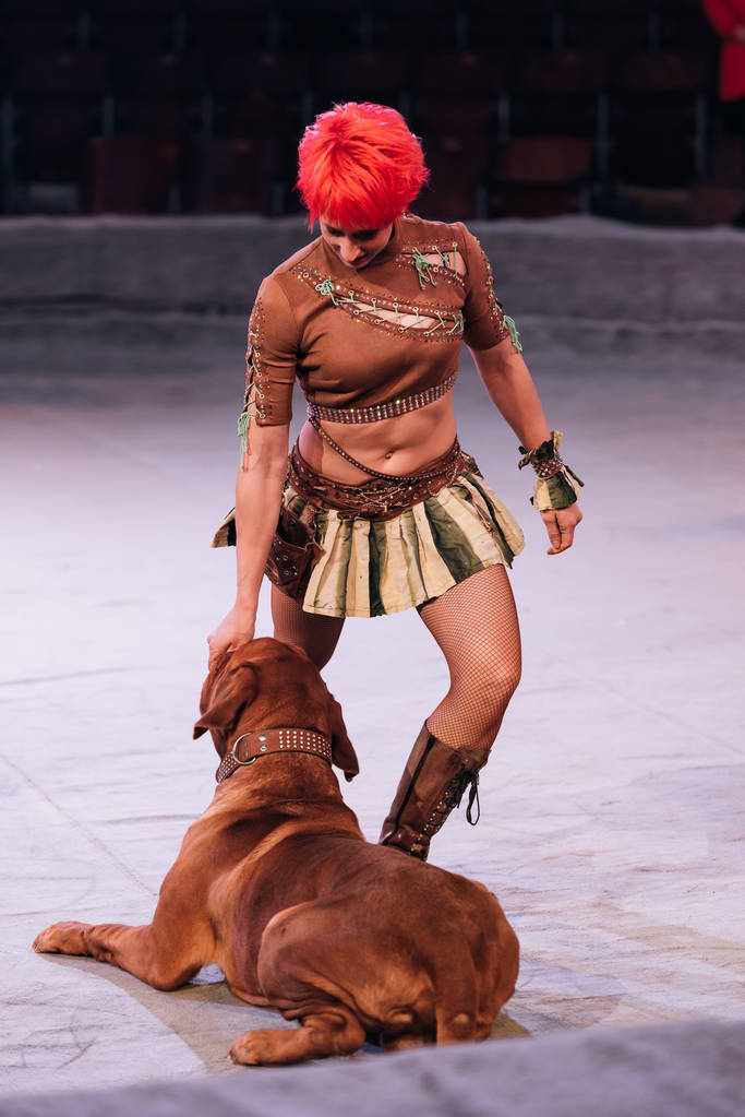 KYIV, UKRAINE - NOVEMBRO 1, 2019: Atraente manipulador apresentando-se com dogue de bordeaux no circo
 - Foto, Imagem