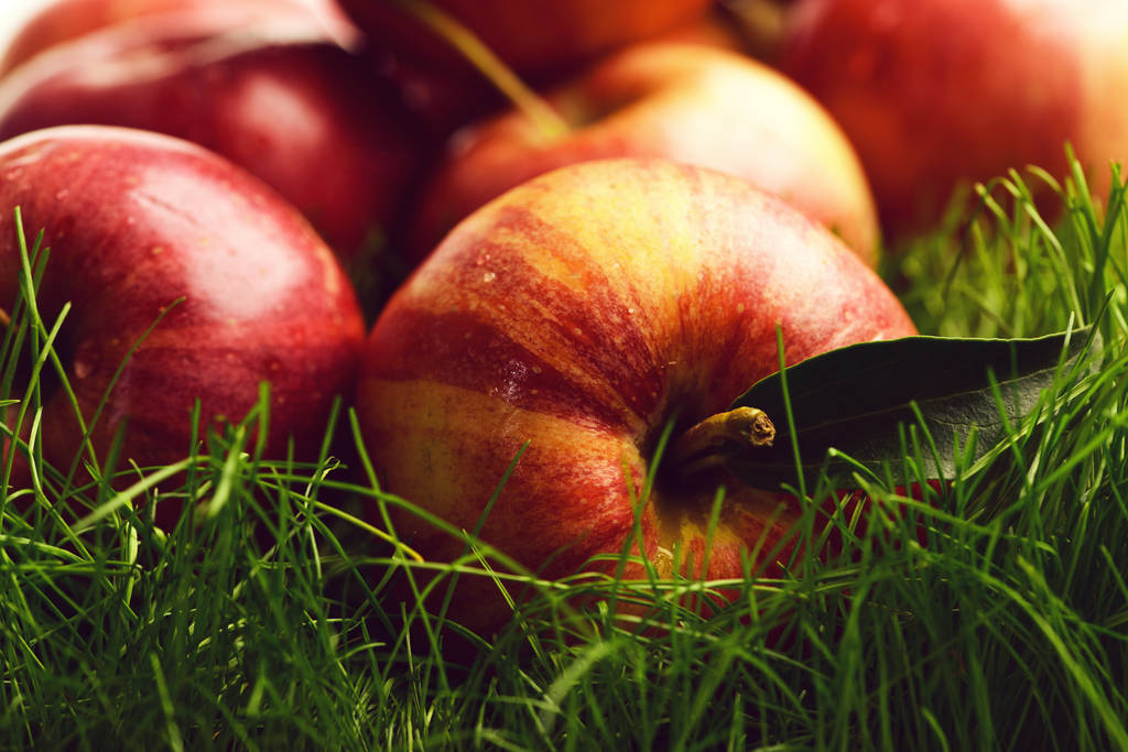 omena ruoho tausta, ruoka, terveys ja luonto
 - Valokuva, kuva