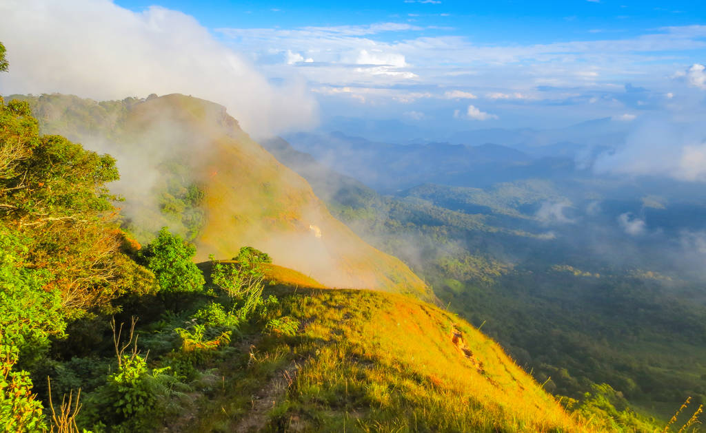 φρέσκο πράσινο πεδίο στην κορυφή του βουνού σε Monjong, Τσιάνγκ Μάι, Ταϊλάνδη - Φωτογραφία, εικόνα
