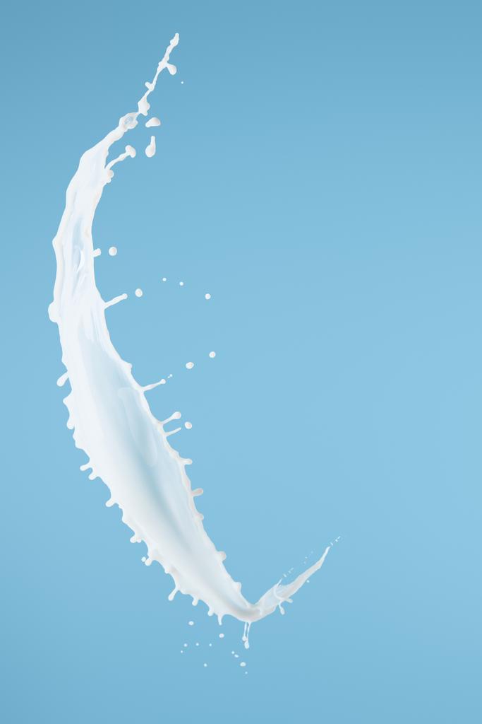 φρέσκο λευκό γάλα splash απομονώνονται σε μπλε - Φωτογραφία, εικόνα