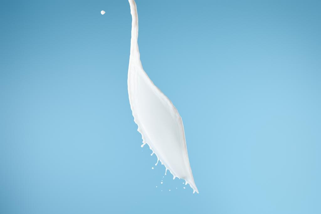 свіже біле молоко бризки ізольовані на синьому
 - Фото, зображення