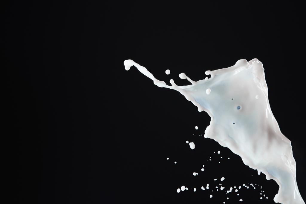 respingo de leite branco fresco isolado em preto
 - Foto, Imagem