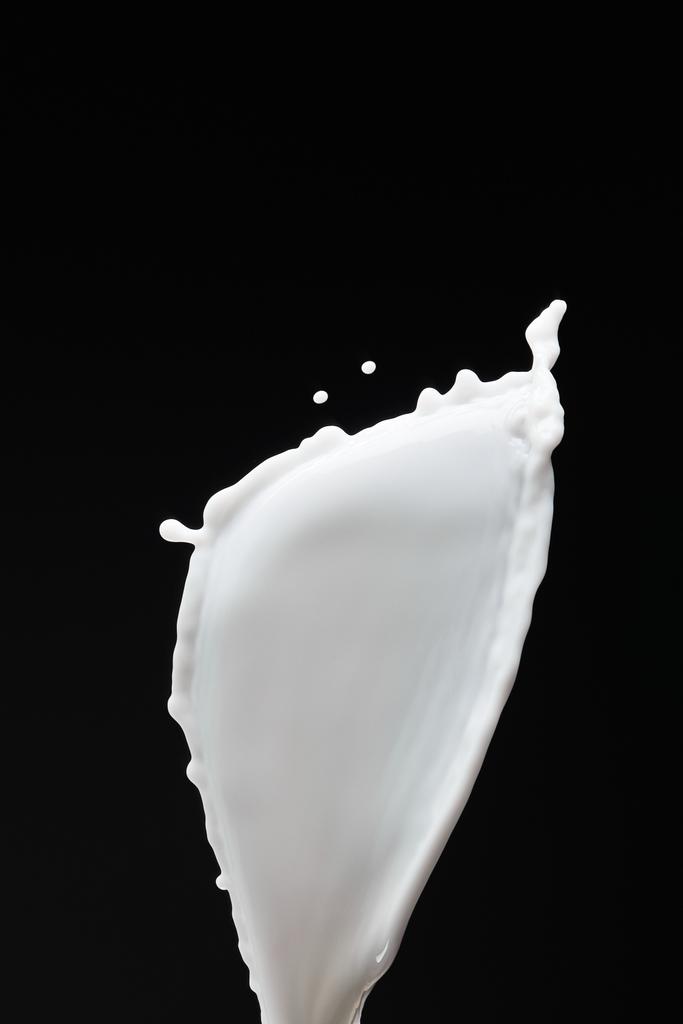 spruzzi di latte bianco fresco con gocce isolate sul nero
 - Foto, immagini