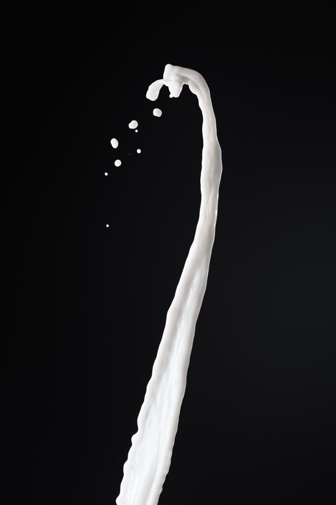 salpicadura de leche blanca fresca con gotas aisladas en negro
 - Foto, imagen