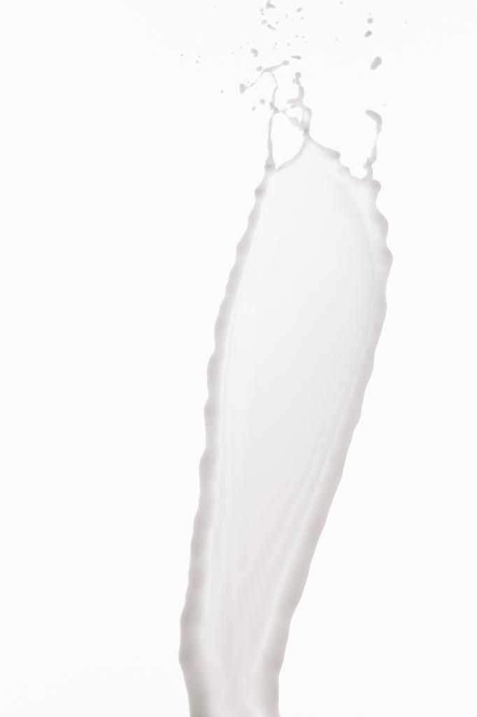 zuiver verse witte melk splash geïsoleerd op wit - Foto, afbeelding