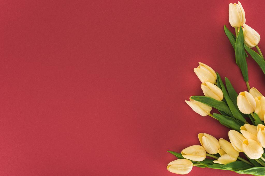 horní pohled na tulipány izolované na červené s kopírovacím prostorem - Fotografie, Obrázek