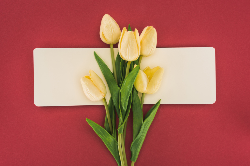 vista superior de tulipas e caderno vazio isolado em vermelho
 - Foto, Imagem