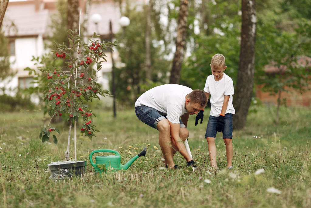 Πατέρας με μικρό γιο φυτεύουν ένα δέντρο σε μια αυλή - Φωτογραφία, εικόνα