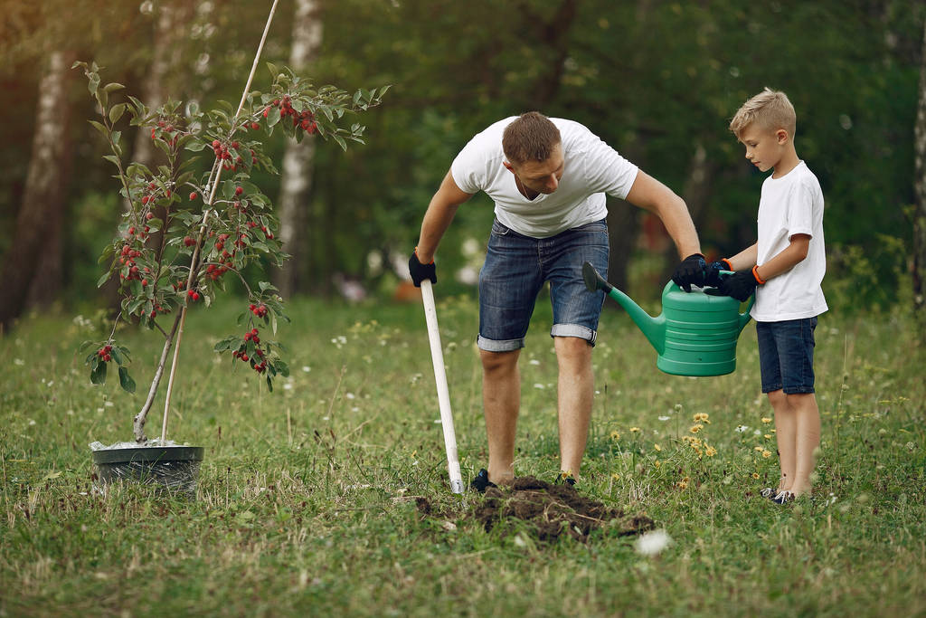 Padre con hijo pequeño están plantando un árbol en un patio
 - Foto, imagen