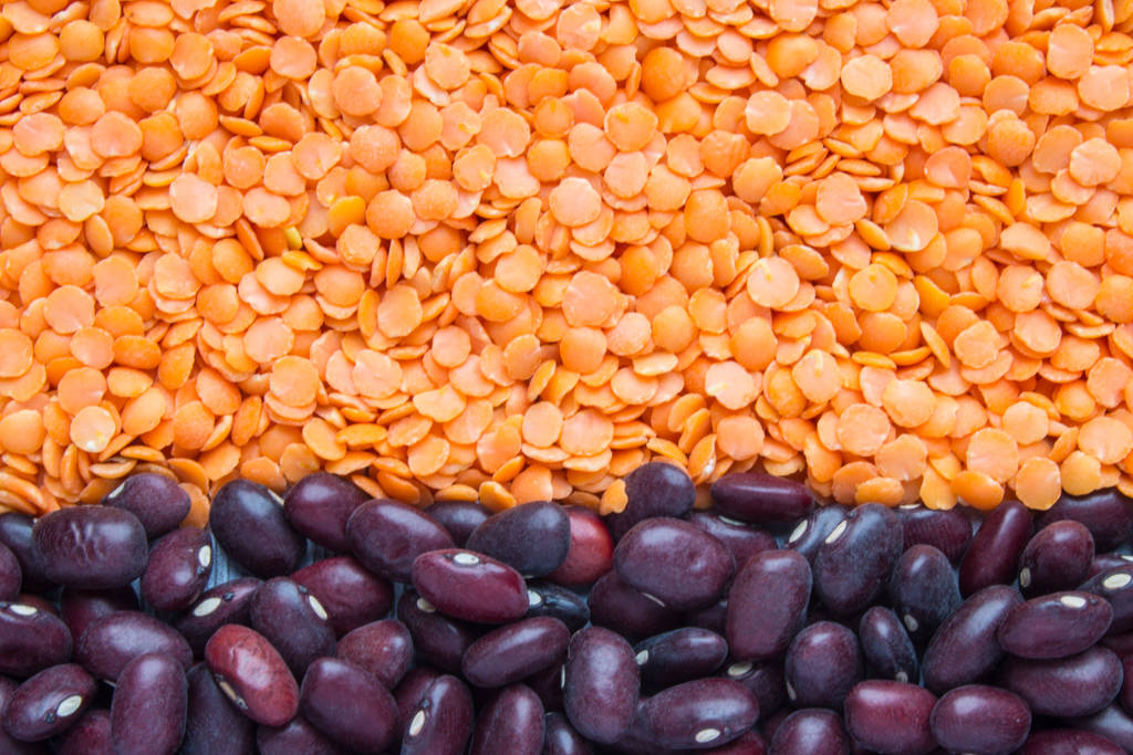 Cereali secchi: fagioli rossi e lenticchie arancioni fonte di proteine primo piano disposti in una vista dall'alto di fila. Sfondo naturale con spazio per la copia
 - Foto, immagini