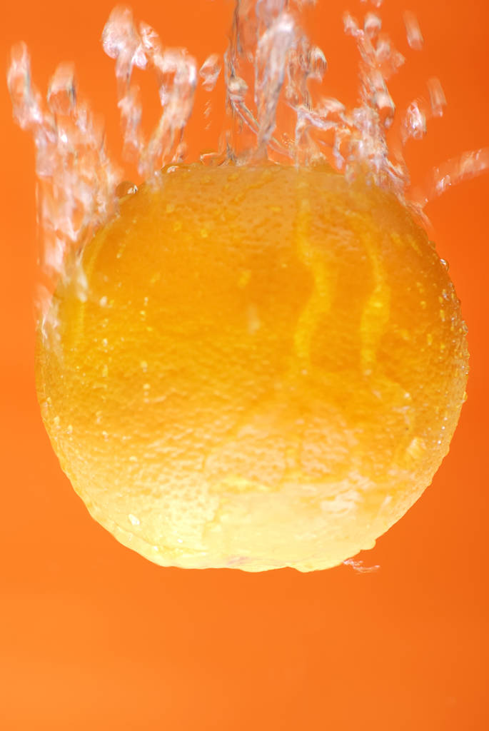 柑橘類の閉鎖 - 写真・画像