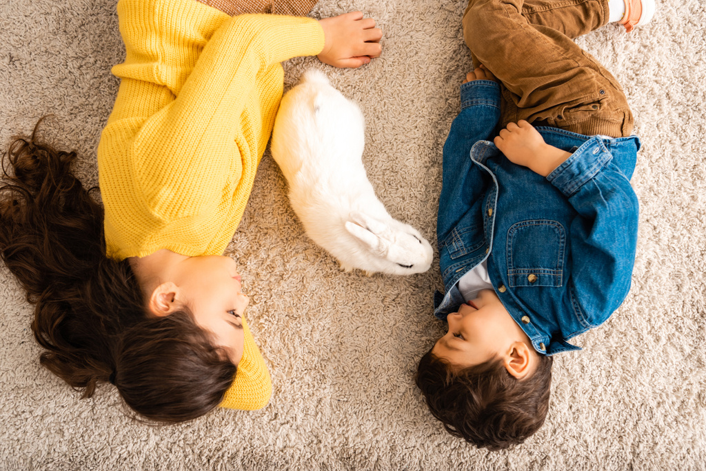 top uitzicht van schattige broer en zus liggen op de vloer in de buurt van wit grappig konijn - Foto, afbeelding