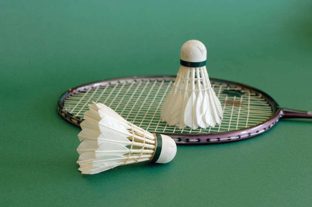 badminton topu ve sopa - Fotoğraf, Görsel