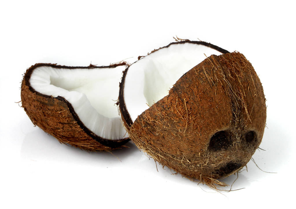 noix de coco isolée sur fond blanc - Photo, image