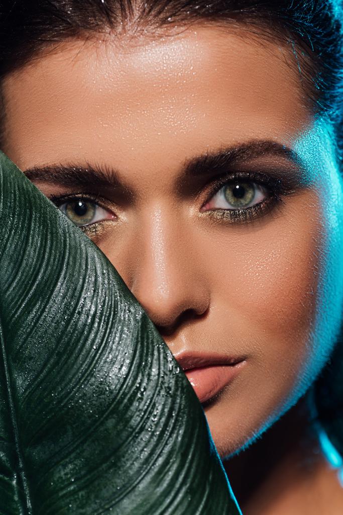 close up de jovem mulher cobrindo rosto com folha verde
  - Foto, Imagem