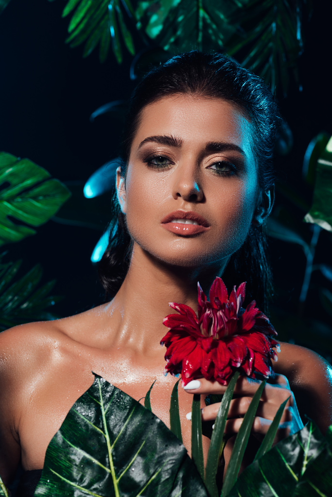 giovane donna sexy che tiene il fiore rosso vicino a foglie verdi
  - Foto, immagini