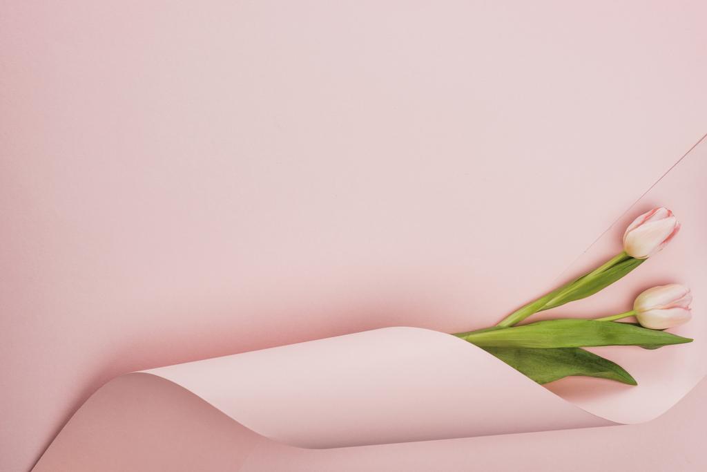 horní pohled na tulipány zabalené v papírové víření na růžovém pozadí - Fotografie, Obrázek