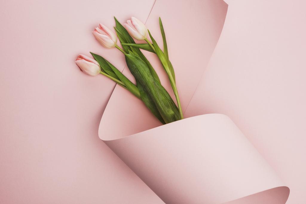 top view of tulips wrapped in paper swirl on pink background - Photo, Image