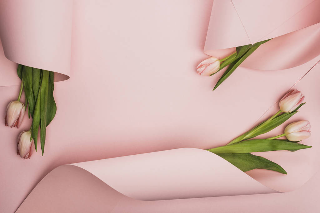 bovenaanzicht van tulpen gewikkeld in papieren wervelingen op roze achtergrond - Foto, afbeelding