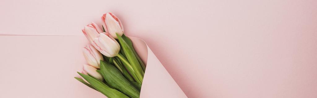 horní pohled na tulipánovou kytici zabalenou v papírovém víření na růžovém pozadí, panoramatický záběr - Fotografie, Obrázek