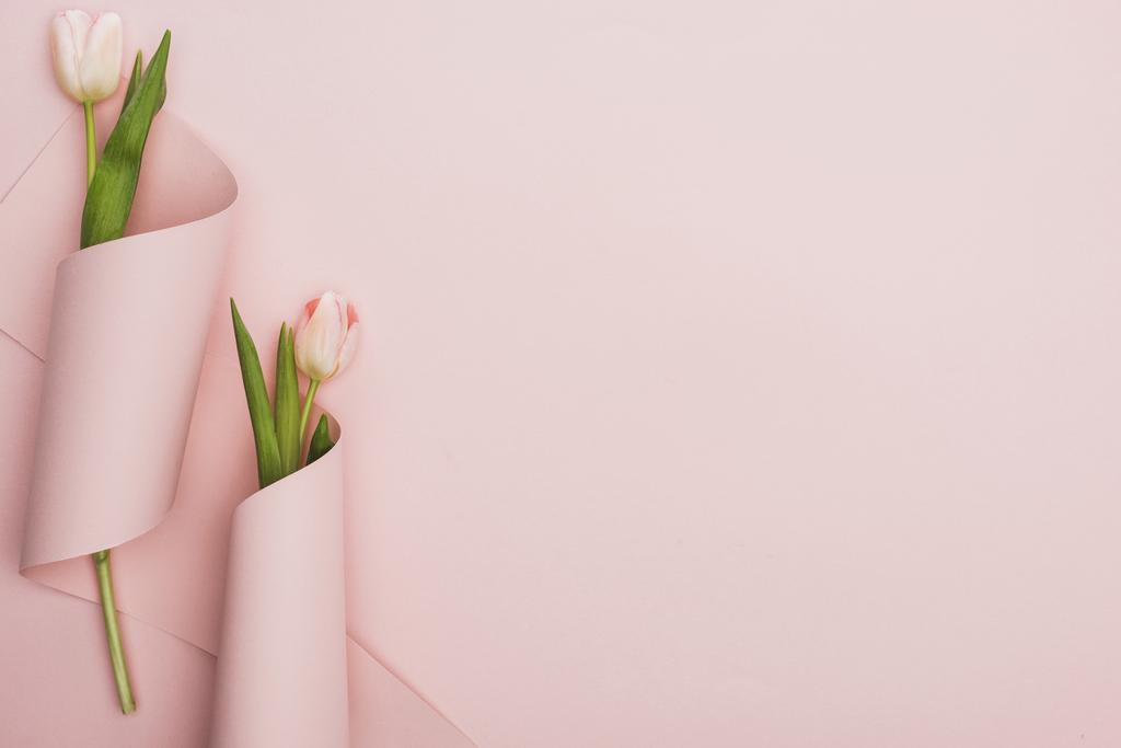 horní pohled na růžové tulipány zabalené v papírových vírech na růžovém pozadí - Fotografie, Obrázek
