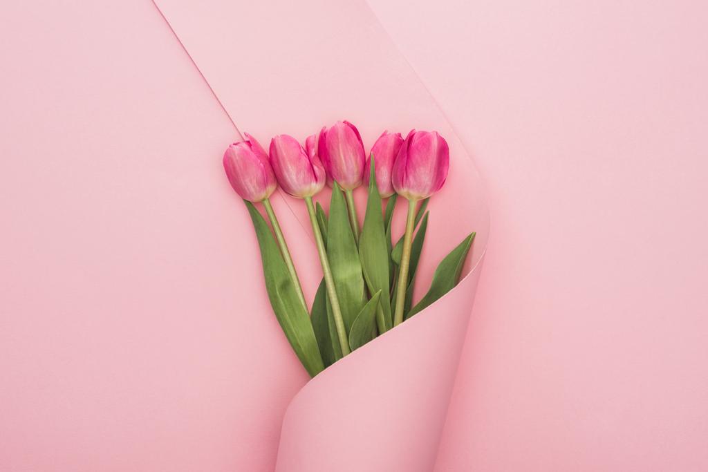 top view of pink tulips wrapped in paper swirl on pink background - Fotoğraf, Görsel