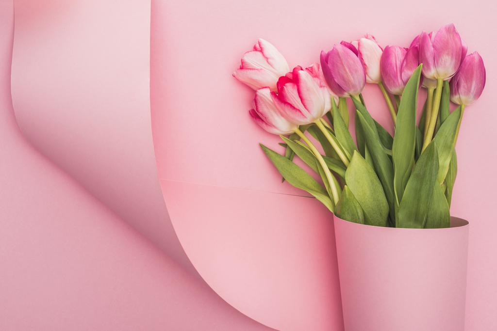 вид зверху тюльпанів, загорнуті в паперовий вихор на рожевому фоні
 - Фото, зображення