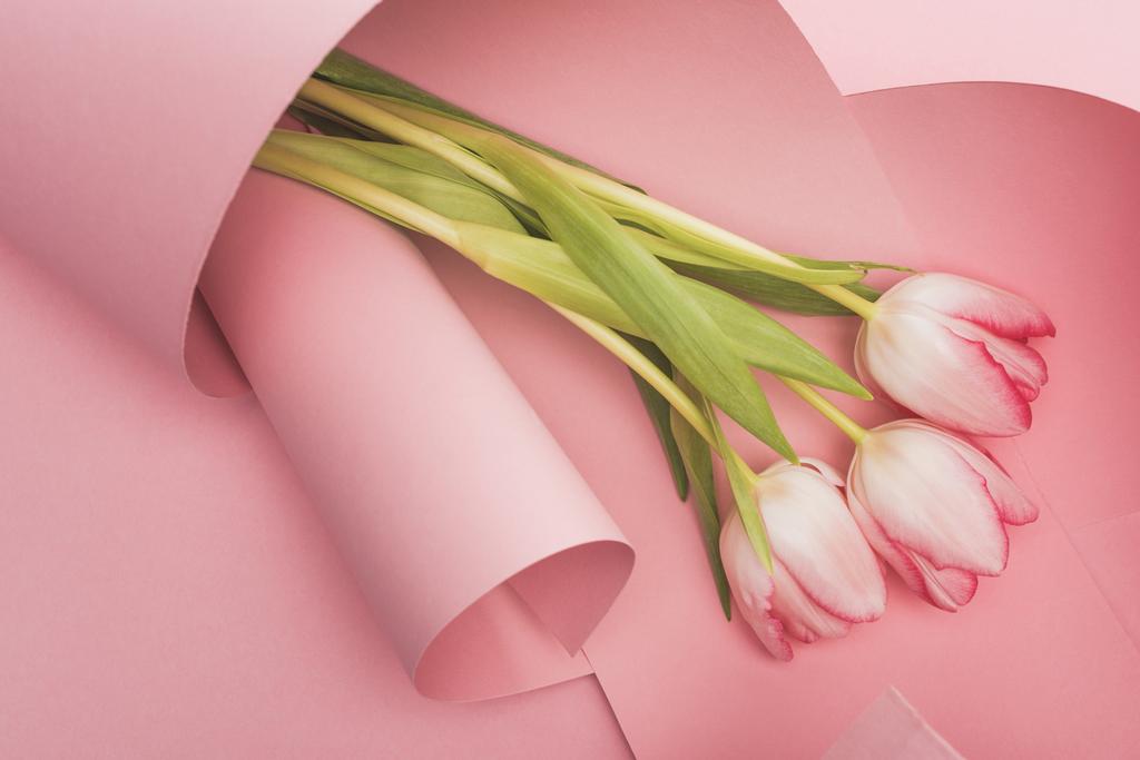 top view of blooming spring tulips wrapped in pink paper swirls - Fotoğraf, Görsel