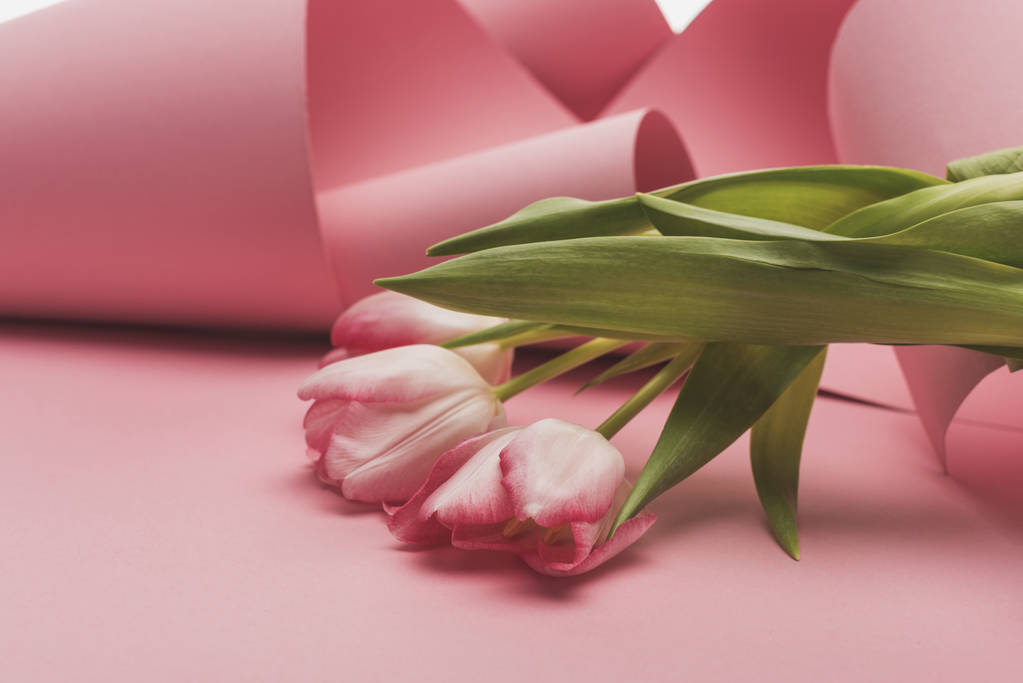 close up view of tulips wrapped in pink paper swirls - Fotoğraf, Görsel