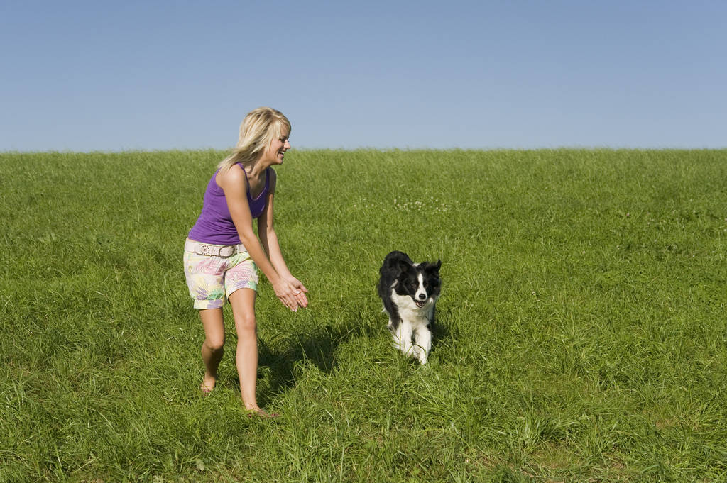 jovem mulher com cão no campo - Foto, Imagem
