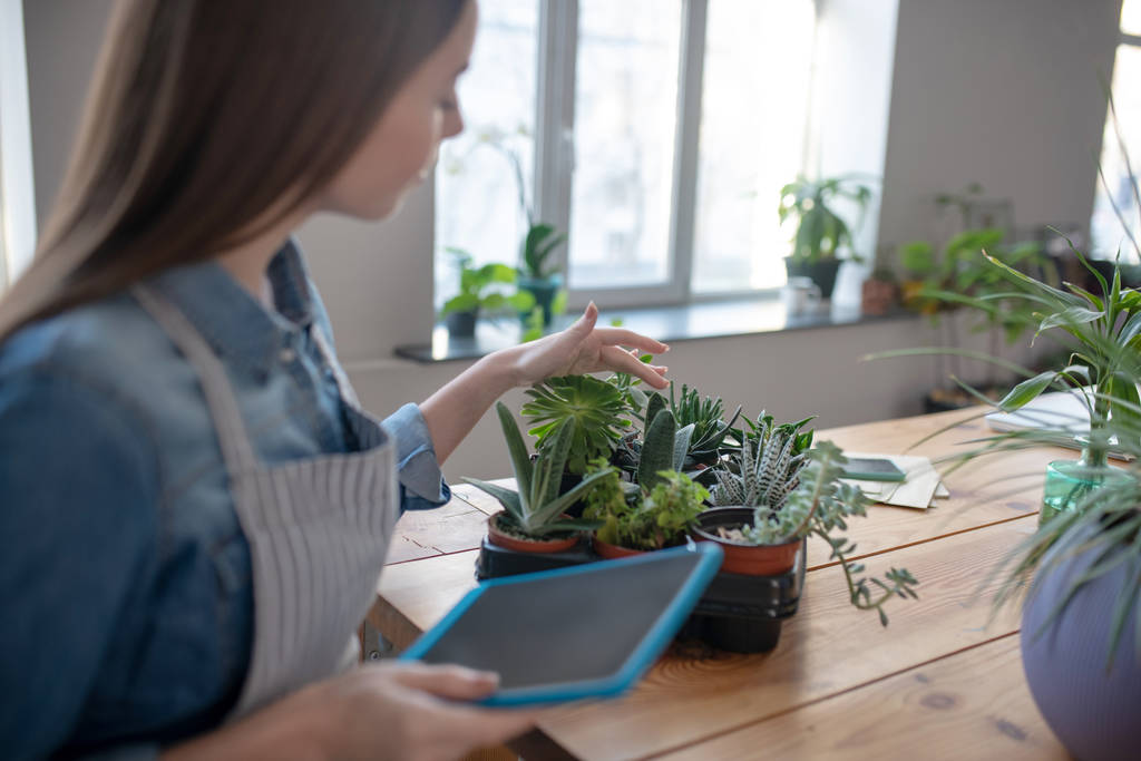 Woman holding tablet taking care of various succulents - Photo, Image