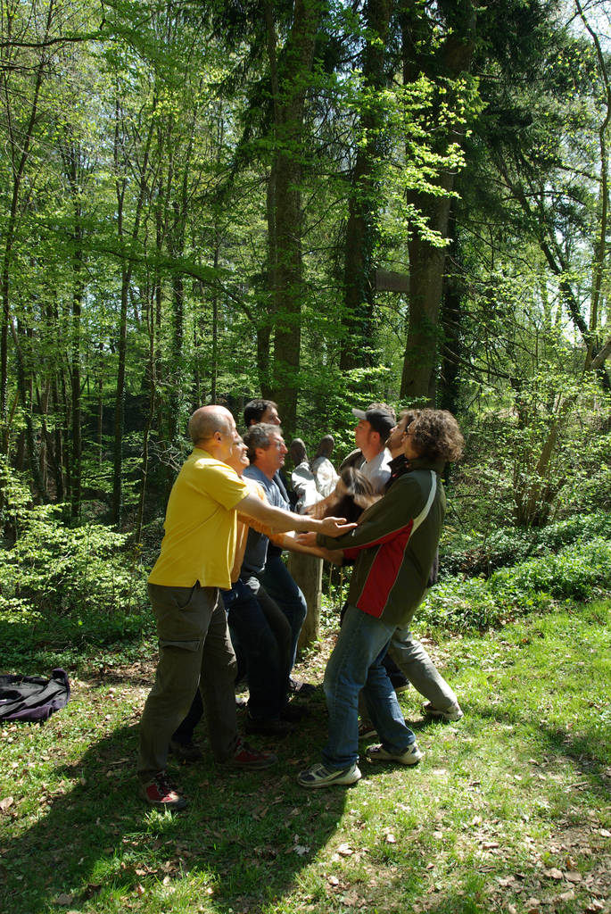 familie van vier mannen en vrouwen wandelen in het bos - Foto, afbeelding
