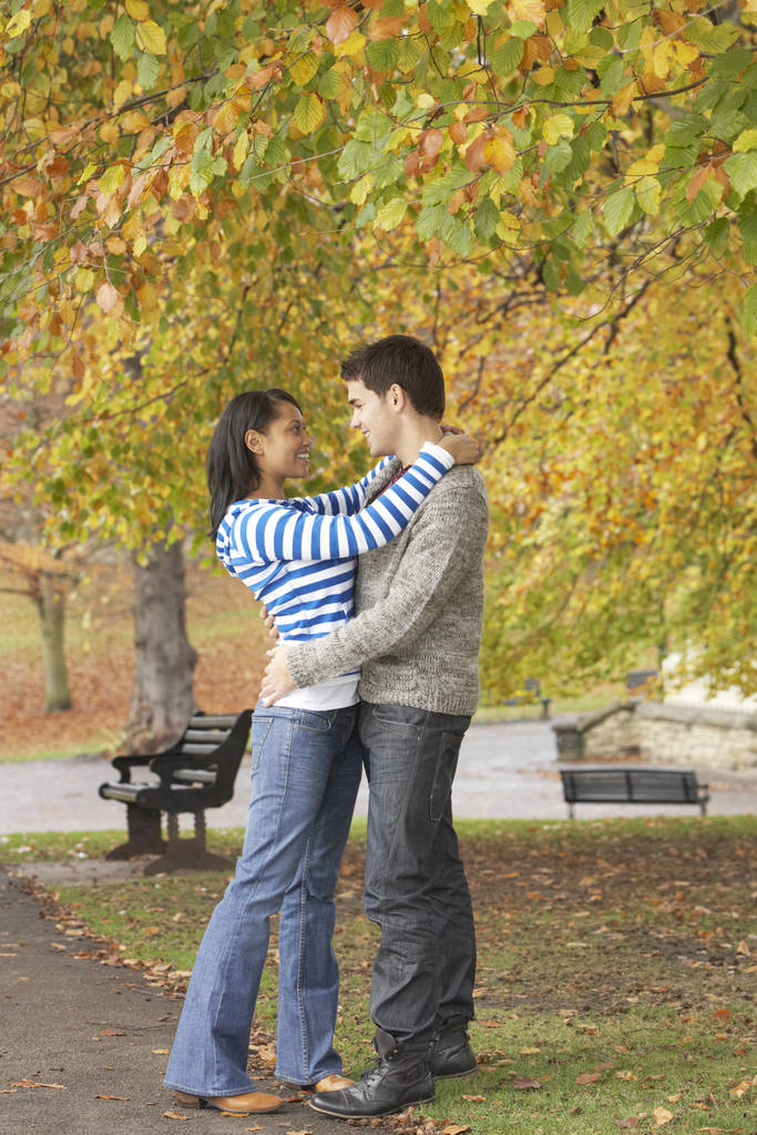 romantyczna młoda para w parku jesień - Zdjęcie, obraz