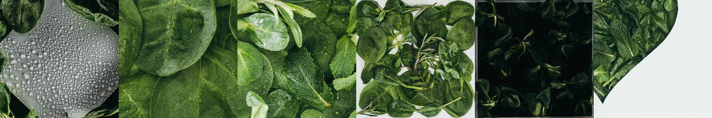 colagem de folhas de espinafre verdes e frescas, conceito ecológico
  - Foto, Imagem