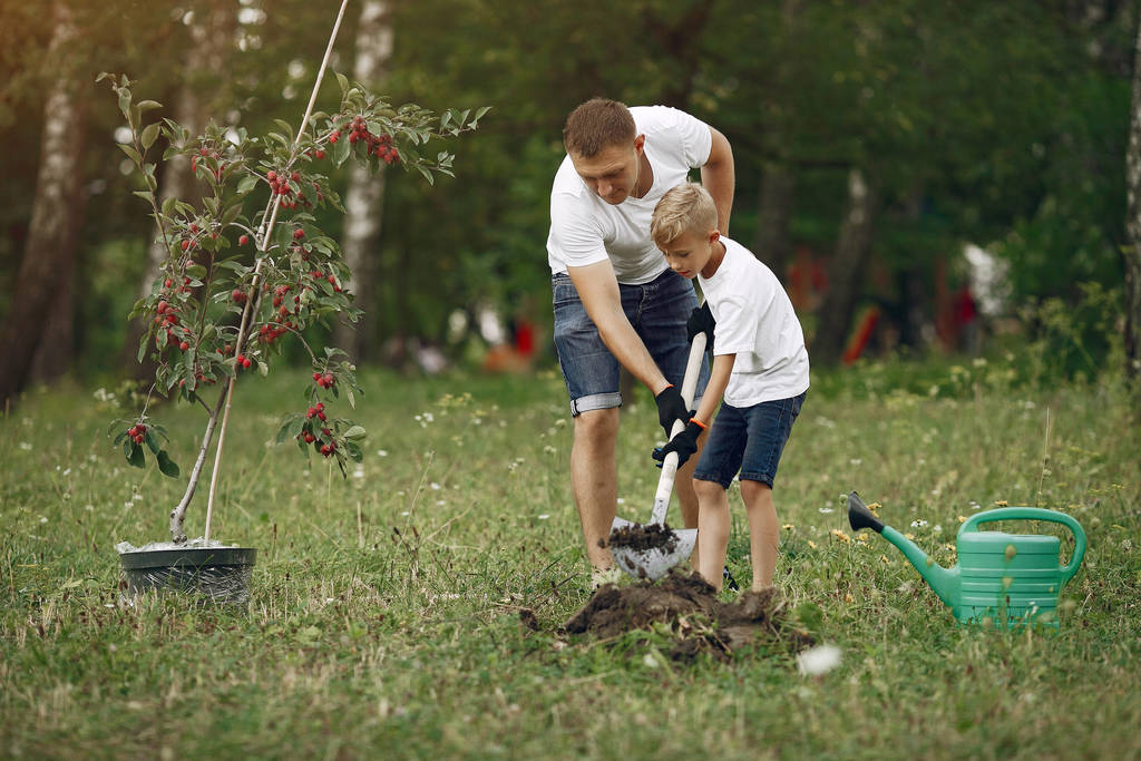 Pai com filho pequeno está plantando uma árvore em um quintal
 - Foto, Imagem